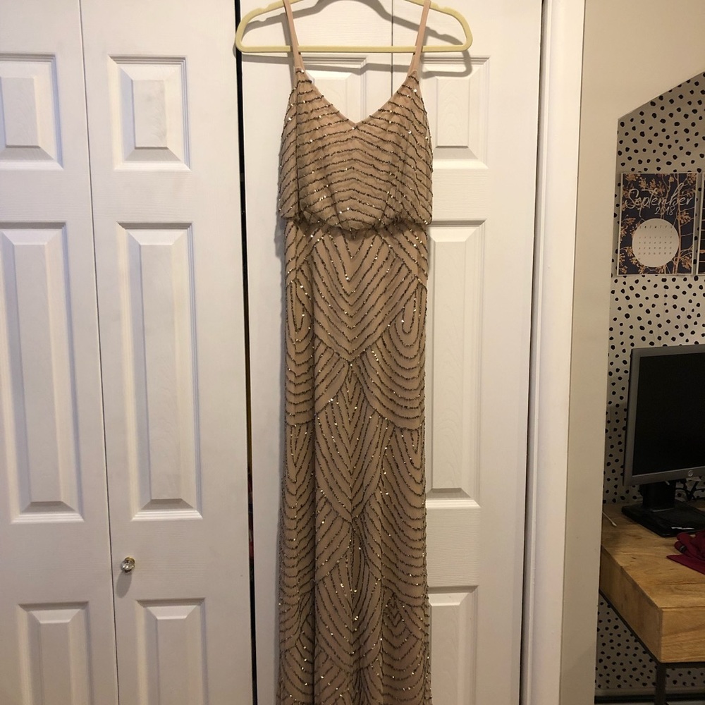 Adrianana Pappell full length dress